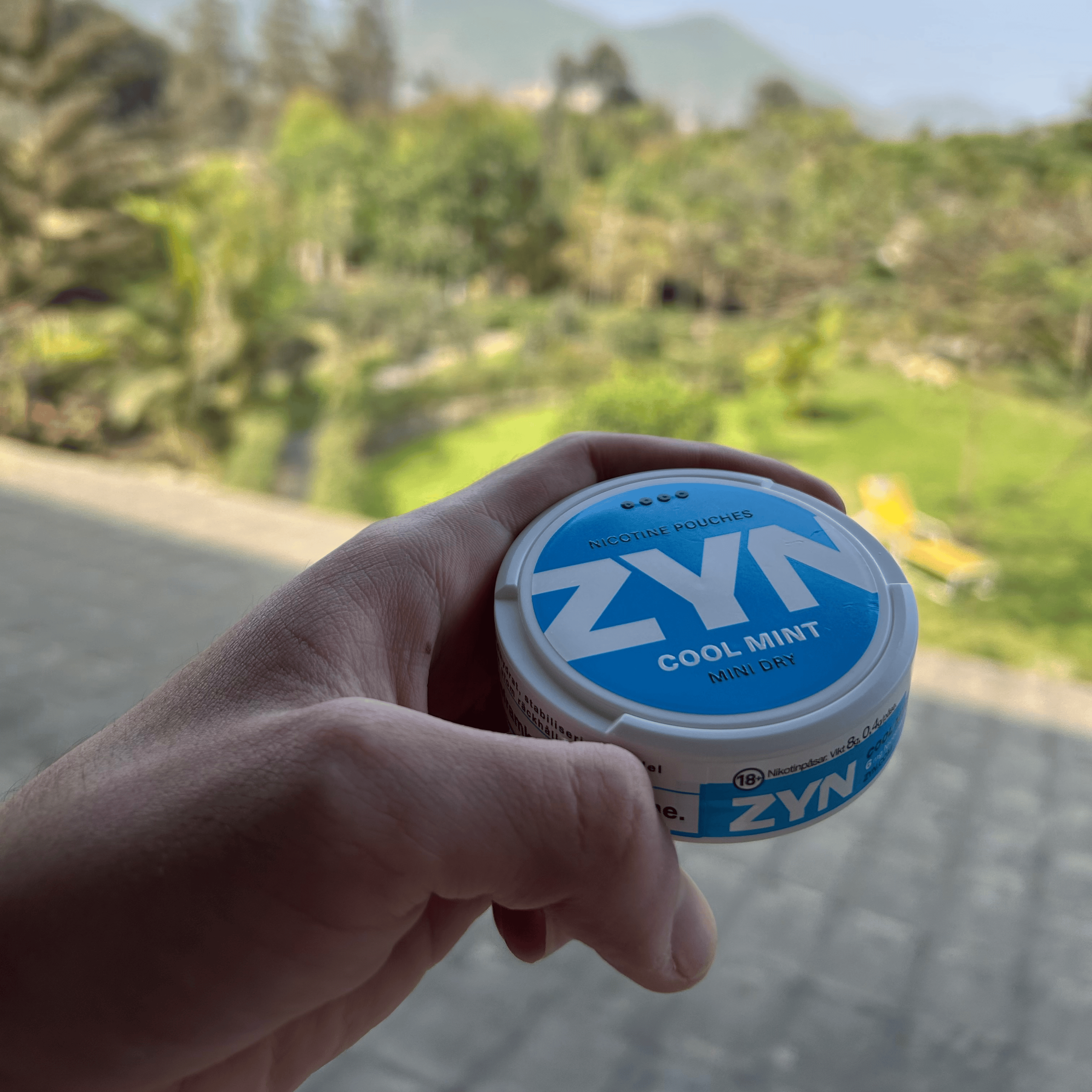 Imagen de producto ZYN #1 - Bolsitas de nicotina sin tabaco